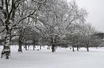 Brockwell Park in the Snow Series